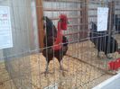 IMG_20140131_150118