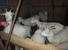 IMG_1245