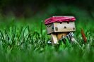 animaatjes-danbo-17399