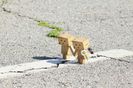 animaatjes-danbo-35502
