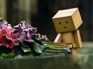 animaatjes-danbo-62768