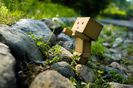animaatjes-danbo-66498
