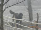 Picture 031