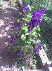 Imag0214