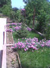Imag0219