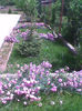 Imag0220