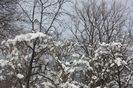 IMG_0693