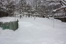 IMG_0714