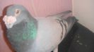 DSC04197