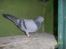 94687085_HPNNQAF3