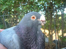 Picture 1337