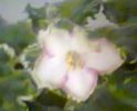 Fotogr.0544_001