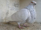 DSCN3447