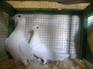 Photo0099