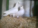 Photo0103