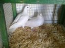 Photo0105