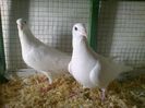 Photo0144