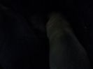 IMG1154A