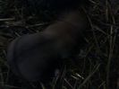 IMG1163A