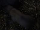 IMG1164A