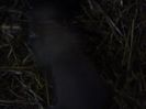IMG1165A