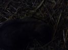 IMG1167A