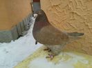 20140202_142433