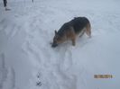 IMG_0100 - Copy