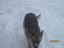 IMG_0101 - Copy