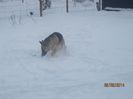 IMG_0102 - Copy