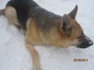 IMG_0114 - Copy