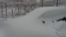 DSC00618