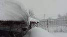 DSC00655