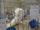 IMG_20140202_100234_0