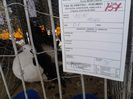 IMG_20140202_100447_0