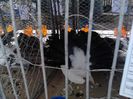 IMG_20140202_100531_0
