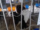 IMG_20140202_100536_0