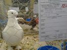 IMG_20140202_100814_0