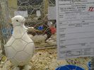 IMG_20140202_100817_0