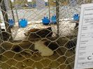 IMG_20140202_100856_0