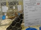 IMG_20140202_100913_0