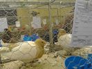 IMG_20140202_100919_0