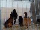 IMG_20140202_100943_0