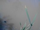 IMG_20130609_114642