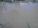 IMG_20130609_114650