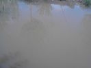 IMG_20130609_114657