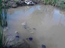 IMG_20130609_114740