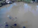 IMG_20130609_114818