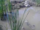IMG_20130609_114830