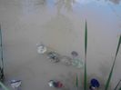 IMG_20130609_115007